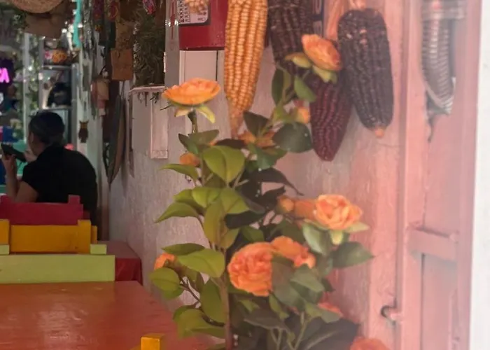 Comfortable 20 Minutes From Estadio Azteca