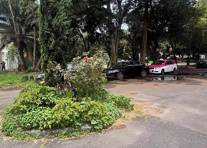 Comfortable 20 Minutes From Estadio Azteca Appartement *